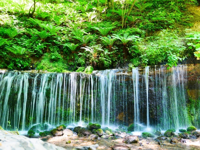 白糸の滝