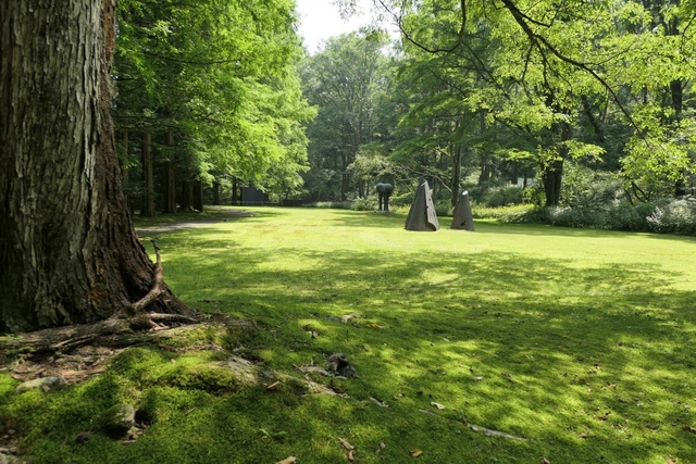 セゾン現代美術館