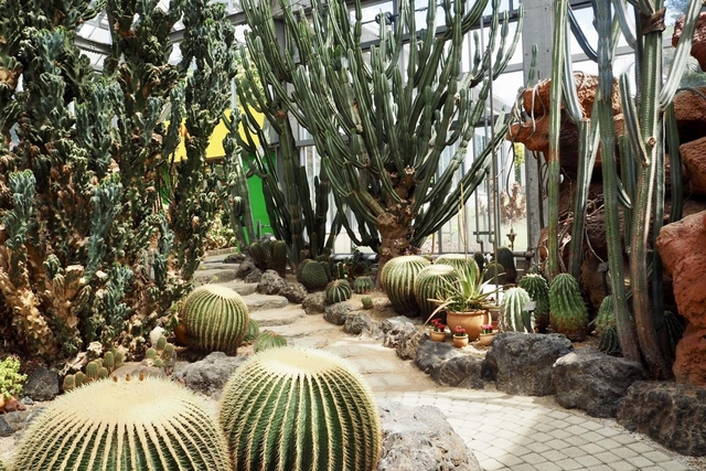 ぐんまフラワーパーク