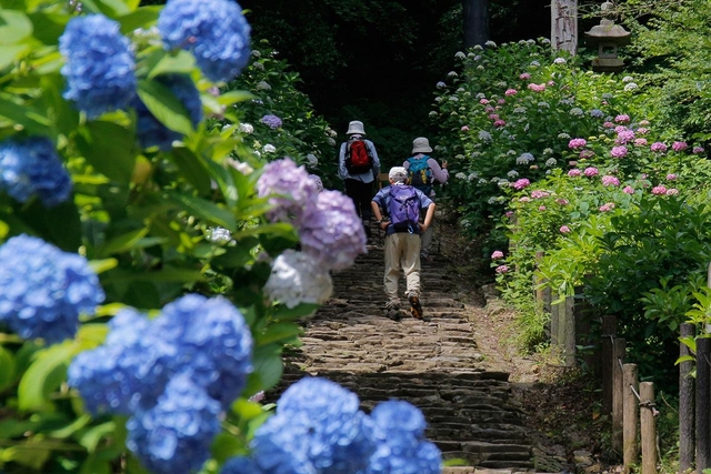 太平山県立自然公園