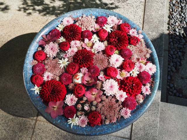 行田八幡神社 / 埼玉