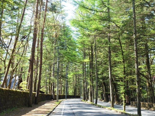 軽井沢サイクリング