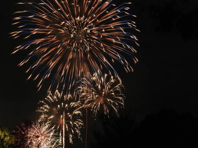 立川まつり国営昭和記念公園花火大会