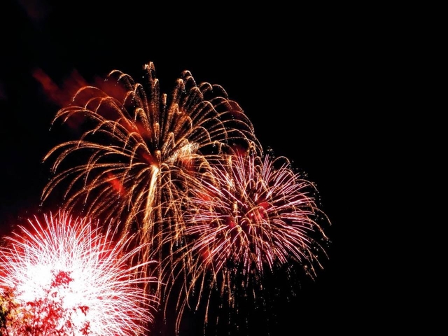 立川まつり国営昭和記念公園花火大会