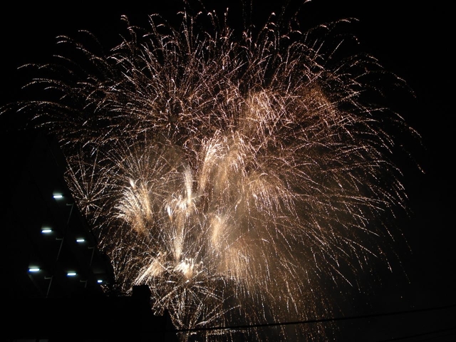 5. 隅田川花火大会 / 東京都