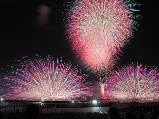 9. なにわ淀川花火大会 / 大阪府