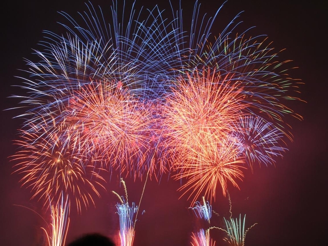 いかがでしたか