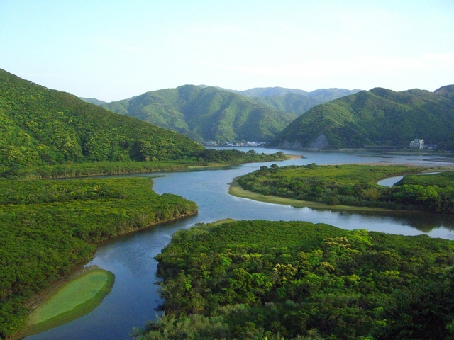 3. 潮の満ち引きで風景が変わる「マングローブ原生林」