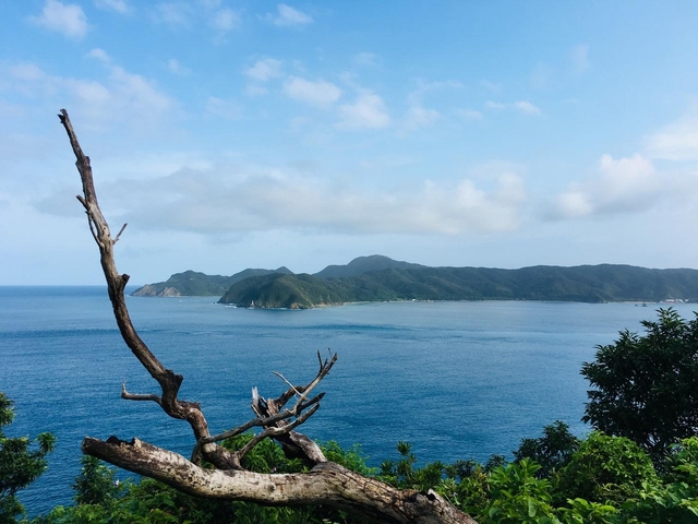 13. 透明度の高い穏やかな海「大島海峡」