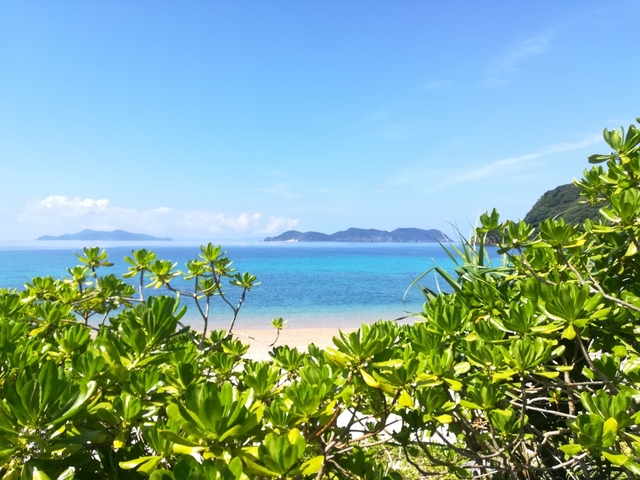 14. 吸い込まれるような満天の星「加計呂麻島」