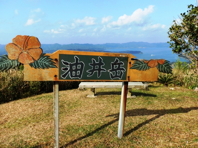 15. 大島海峡を一望「油井岳展望台」