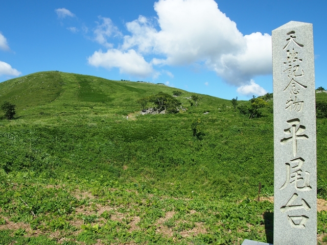 13. 広い大地に無数の石灰岩！ 日本三大カルストの1つ「平尾台」