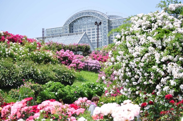 19. ギネスに認定された遊具も！ 北九州市響灘緑地「グリーンパーク」