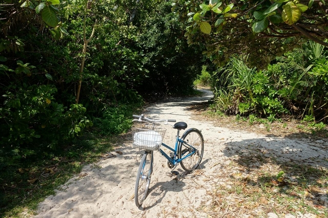 島観光のまわり方