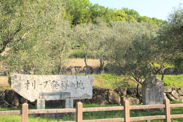 道の駅 小豆島オリーブ公園