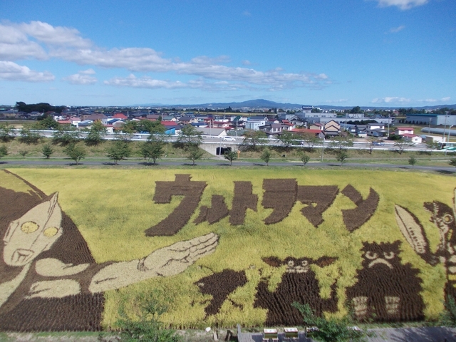 田舎館村 田んぼアート