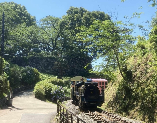 小田原城址公園