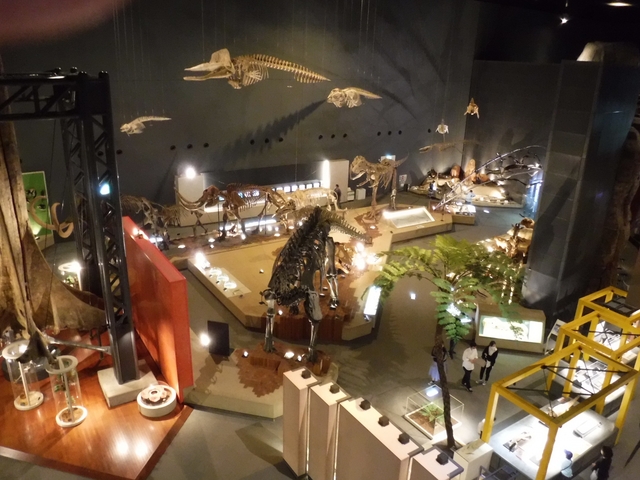 神奈川県立生命の星 地球博物館