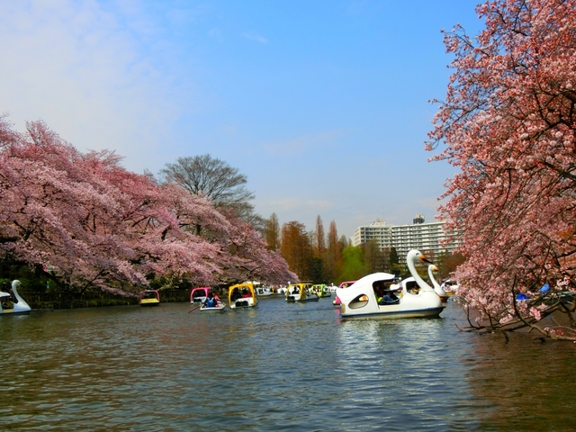 井の頭恩賜公園
