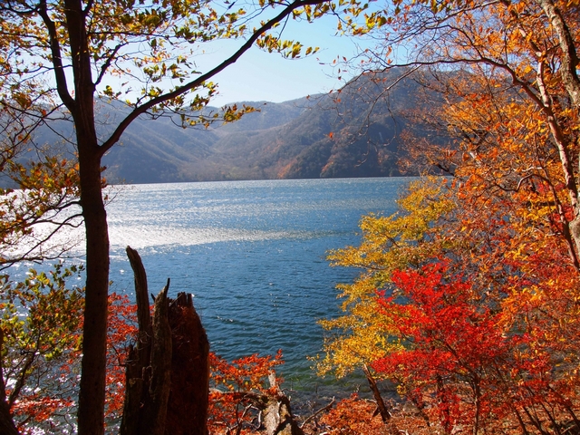 中禅寺湖