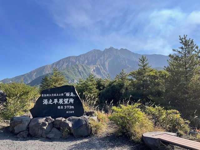 ほしいお土産は見つかりましたか？