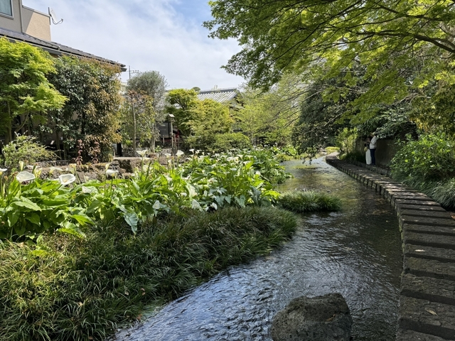 3. 源兵衛川水辺の道 / 三島