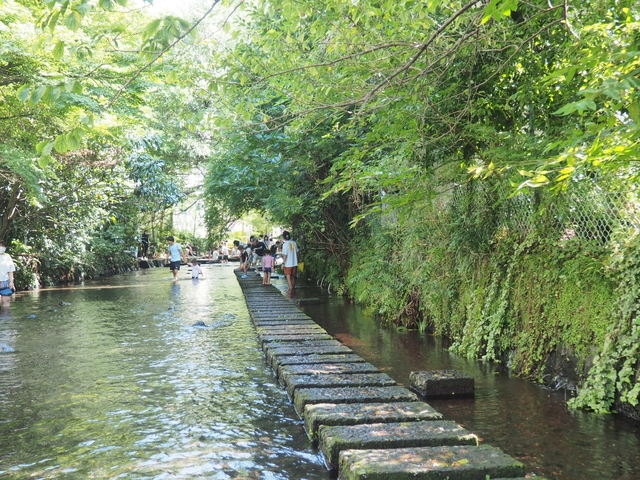 3. 源兵衛川水辺の道 / 三島