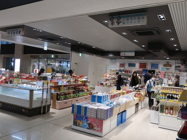 5. 新石垣空港 (南ぬ島石垣空港)