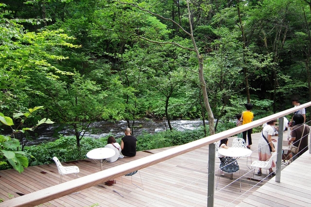 ハルニレテラス