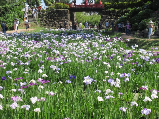 小田原城址公園