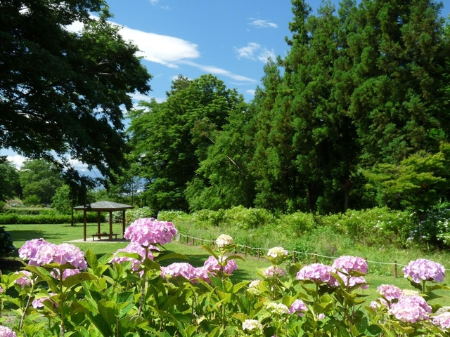 道の駅 赤城の恵