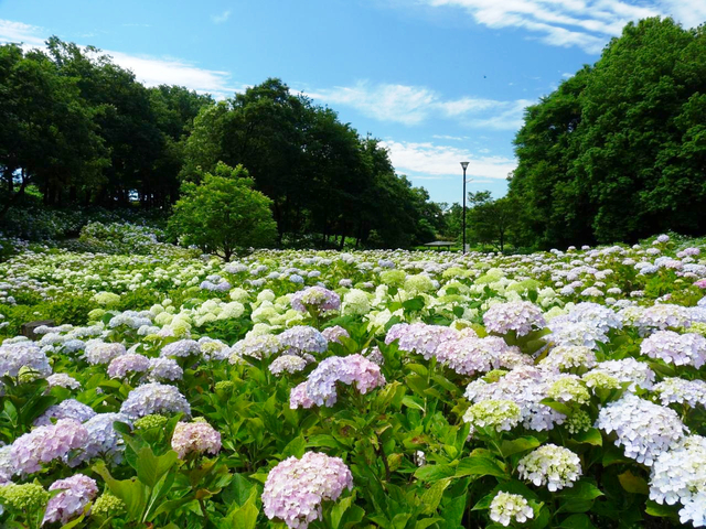 道の駅 赤城の恵