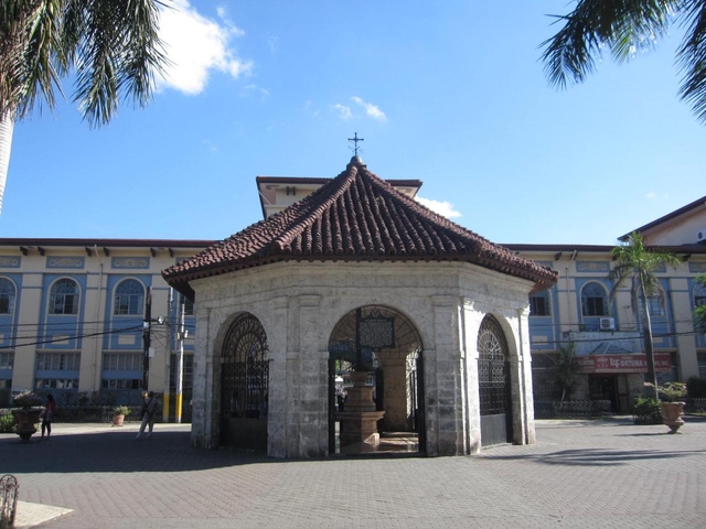 マゼラン クロス