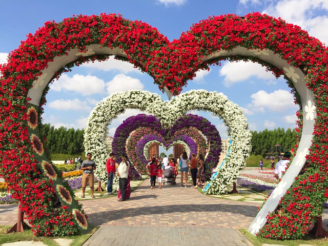 ドバイ ミラクル ガーデン