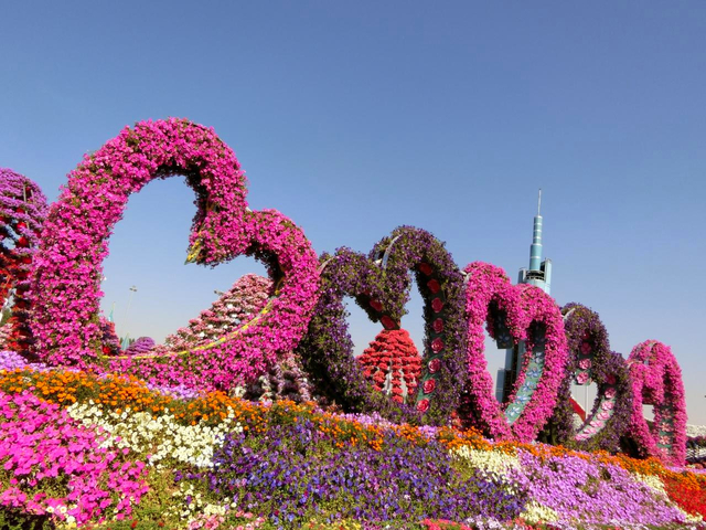 ドバイ ミラクル ガーデン