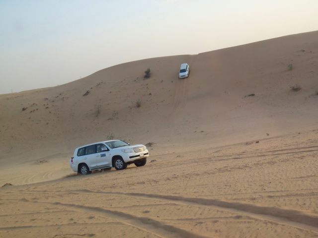 デザート サファリ