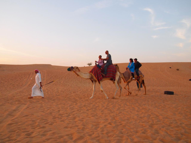 デザート サファリ