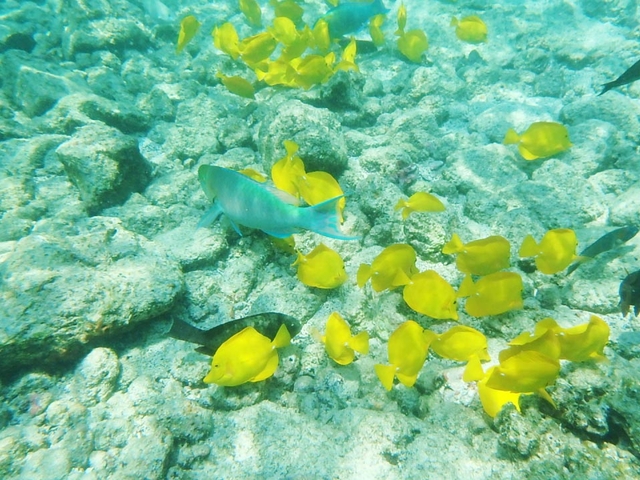 10. カハルウ・ビーチ