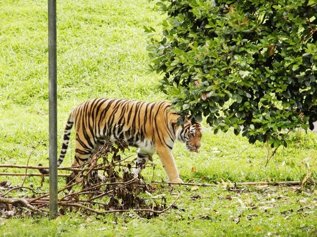 13. パナエワ熱帯雨林動物園