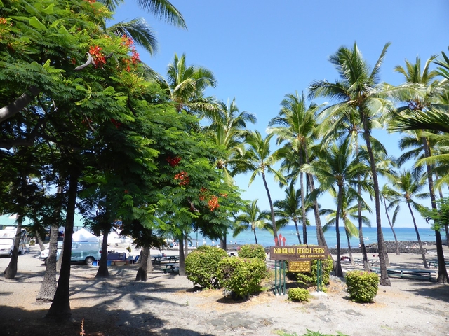 あなたにとってのハワイ島ベストスポット、見つかりましたか？