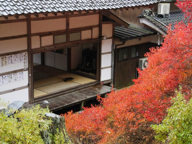 3. 安国寺のドウダンツツジ / 兵庫県