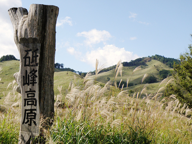 5. 砥峰高原のすすき / 兵庫県