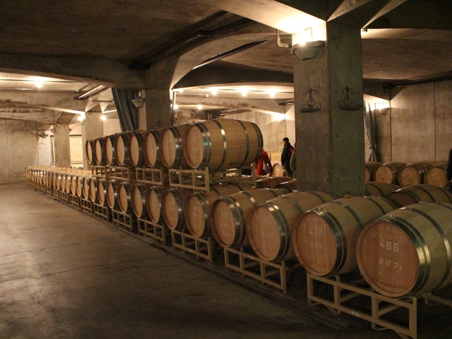 10. ワイナリー見学＆スイーツ / 山梨県