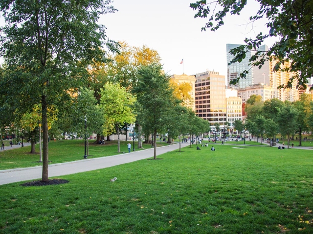 2. ボストン コモン / パブリック ガーデン