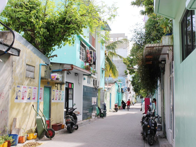 9. 静かでのどかなヴィリンギリ島