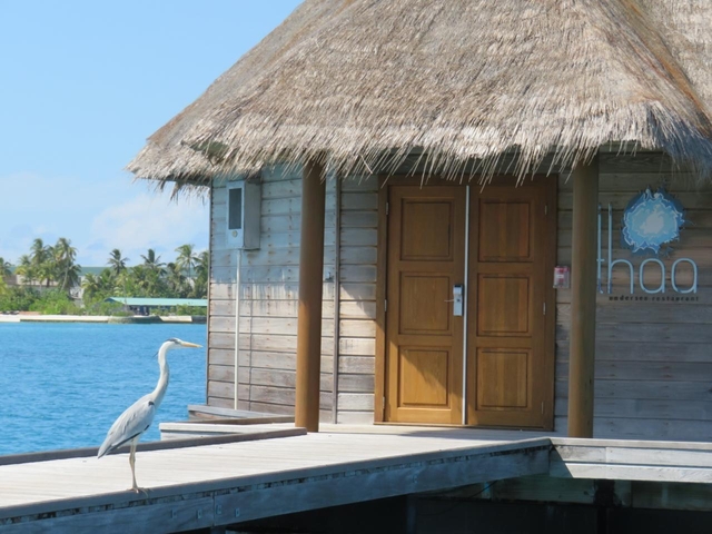 12. 水中レストラン イター