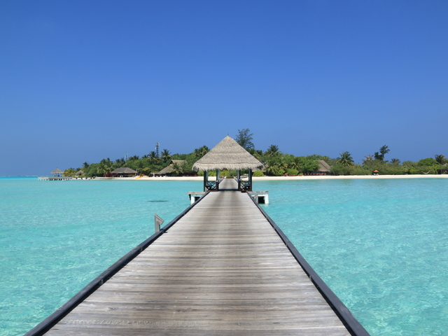 モルディブのお土産は、決まりましたか？