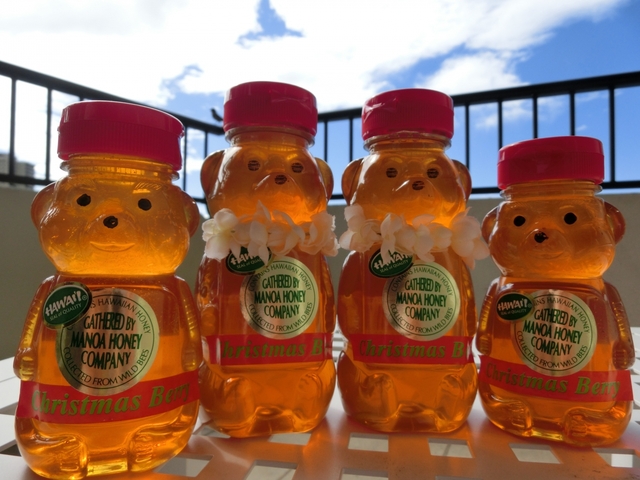 クマさんハチミツ