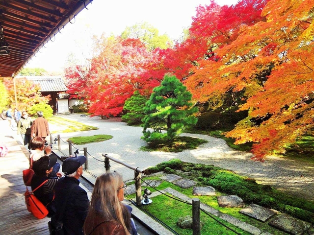 天授庵（南禅寺塔頭）/ 下鴨・宝ヶ池・平安神宮