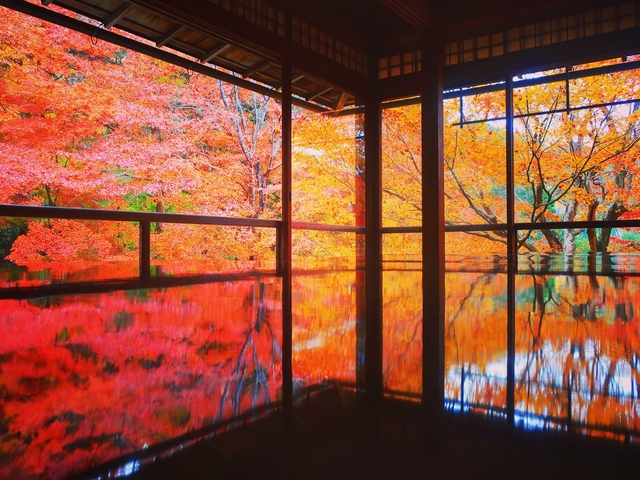 光明寺瑠璃光院 / 下鴨・宝ヶ池・平安神宮